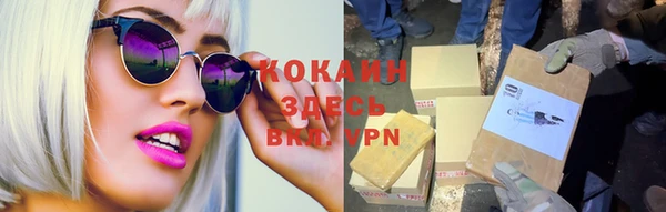 гашик Белокуриха