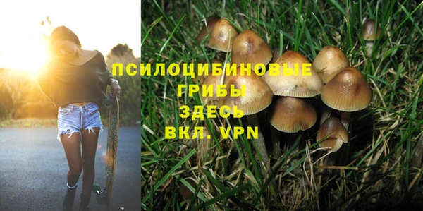 гашик Белокуриха