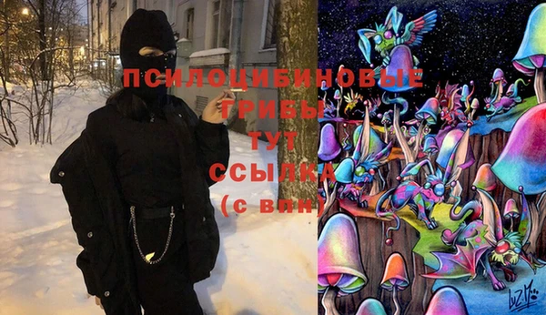гашик Белокуриха