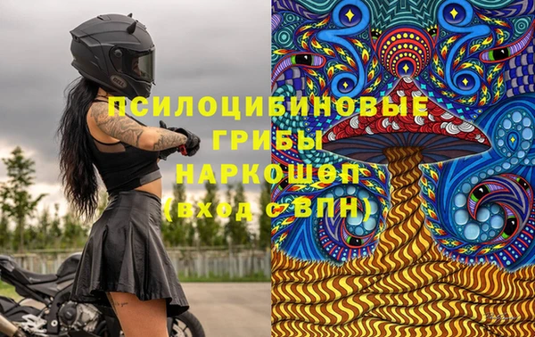 гашик Белокуриха