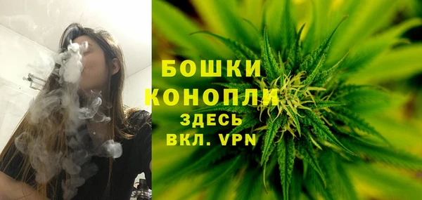гашик Белокуриха