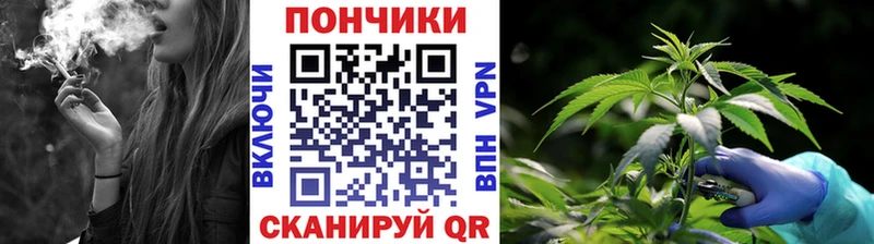 Канабис план  купить закладку  Велиж 